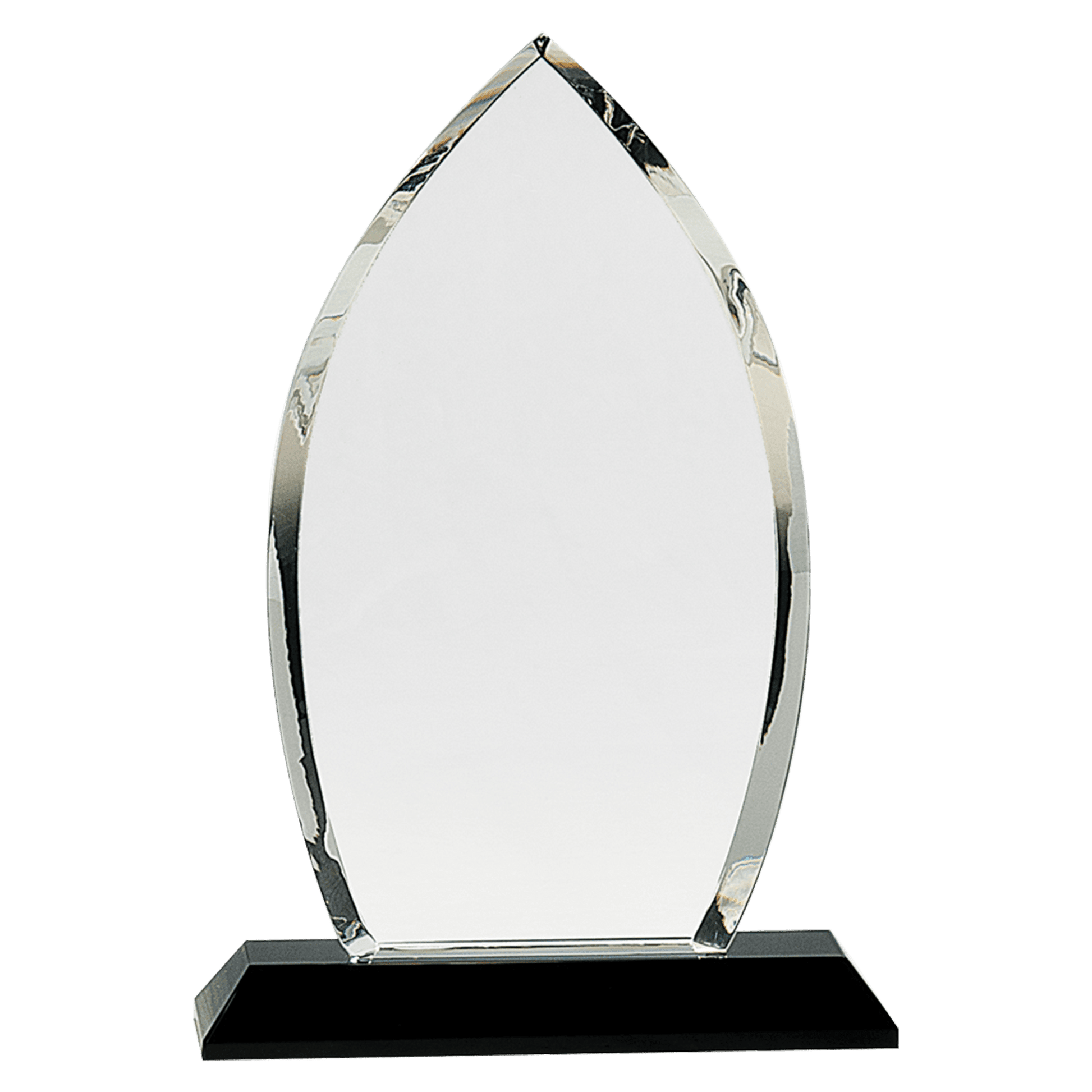 Oval Crystal Award 9 1/2" - Whoa, Jody Boy!