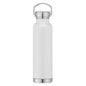 Apollo - 22 oz. Double Wall Stainless Steel Water Bottle with Lid - Whoa, Jody Boy!